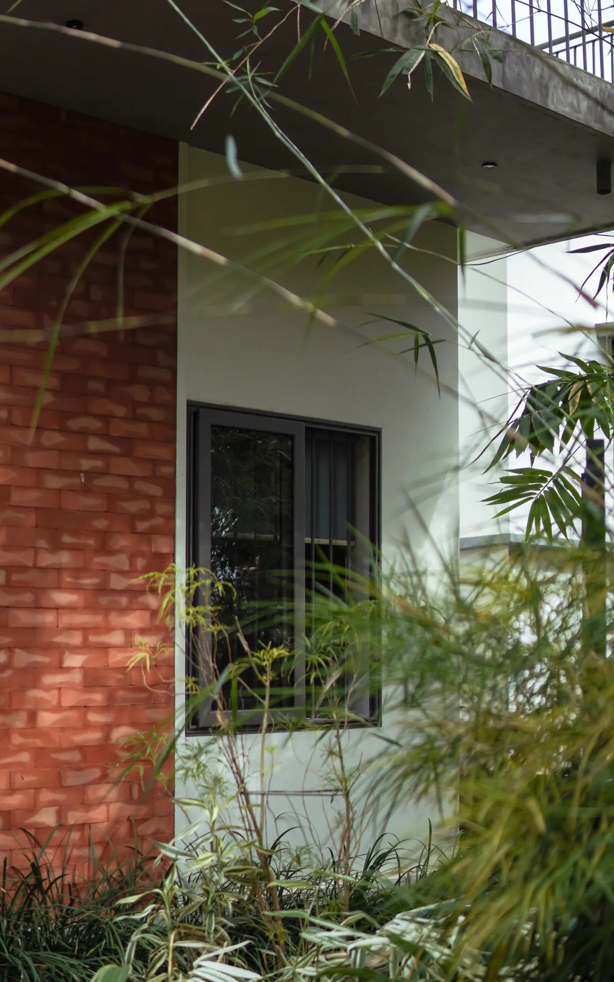 Vihaara view 5